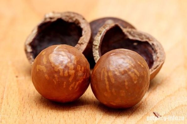Macadamia fir Potenz